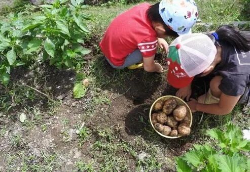 農業体験で子どもの非認知能力を養います　【三鷹体操教室】