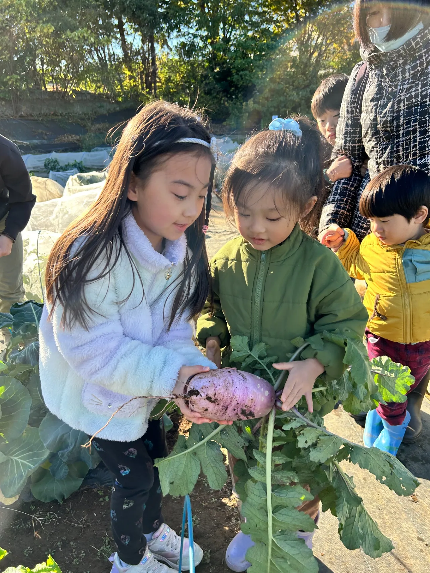 本日は農業体験！秋冬野菜の収穫でした！【三鷹の運動教室】