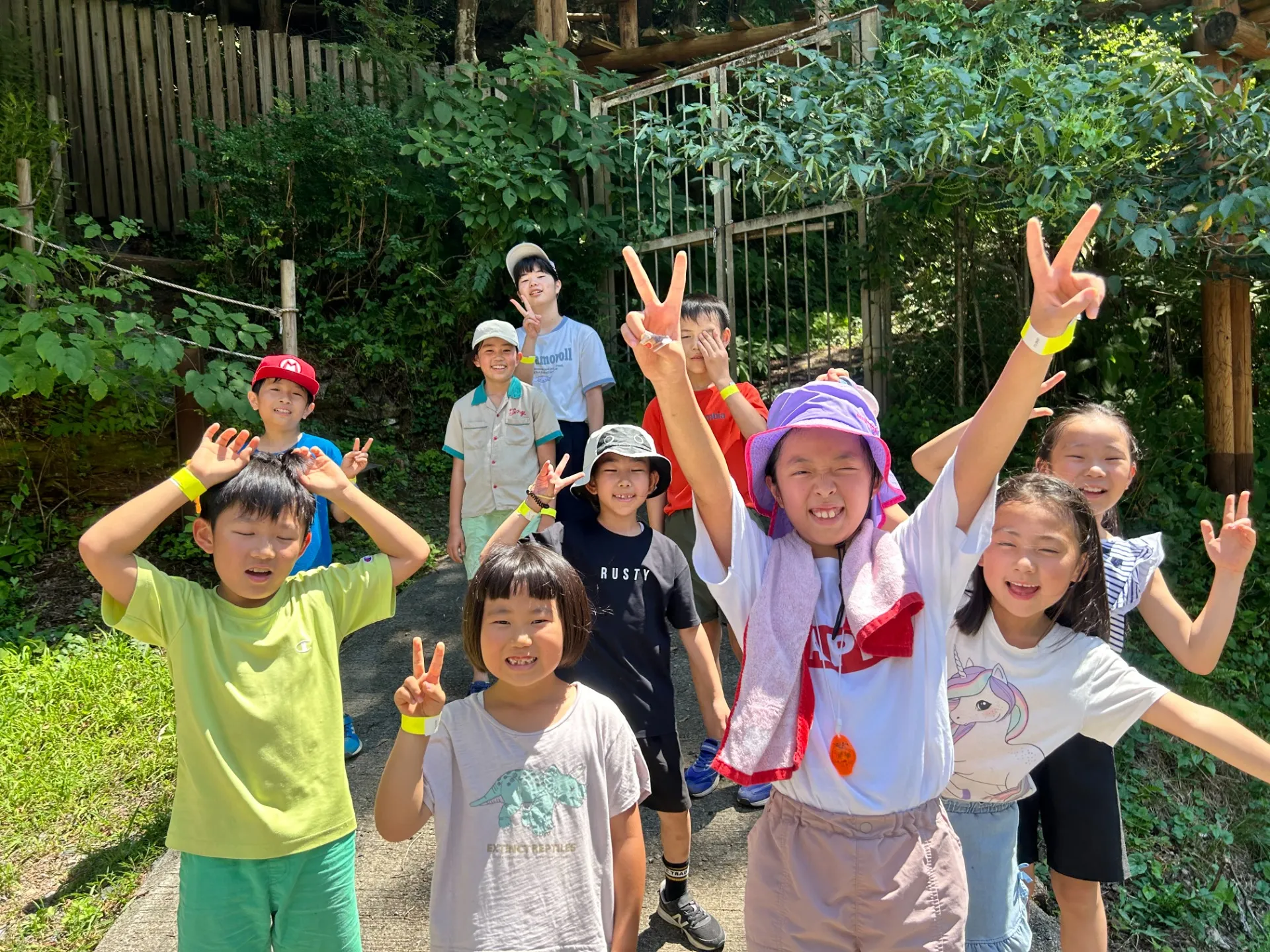 ✨Awesome!キッズ体操教室 三鷹校 サマーキャンプ2025✨