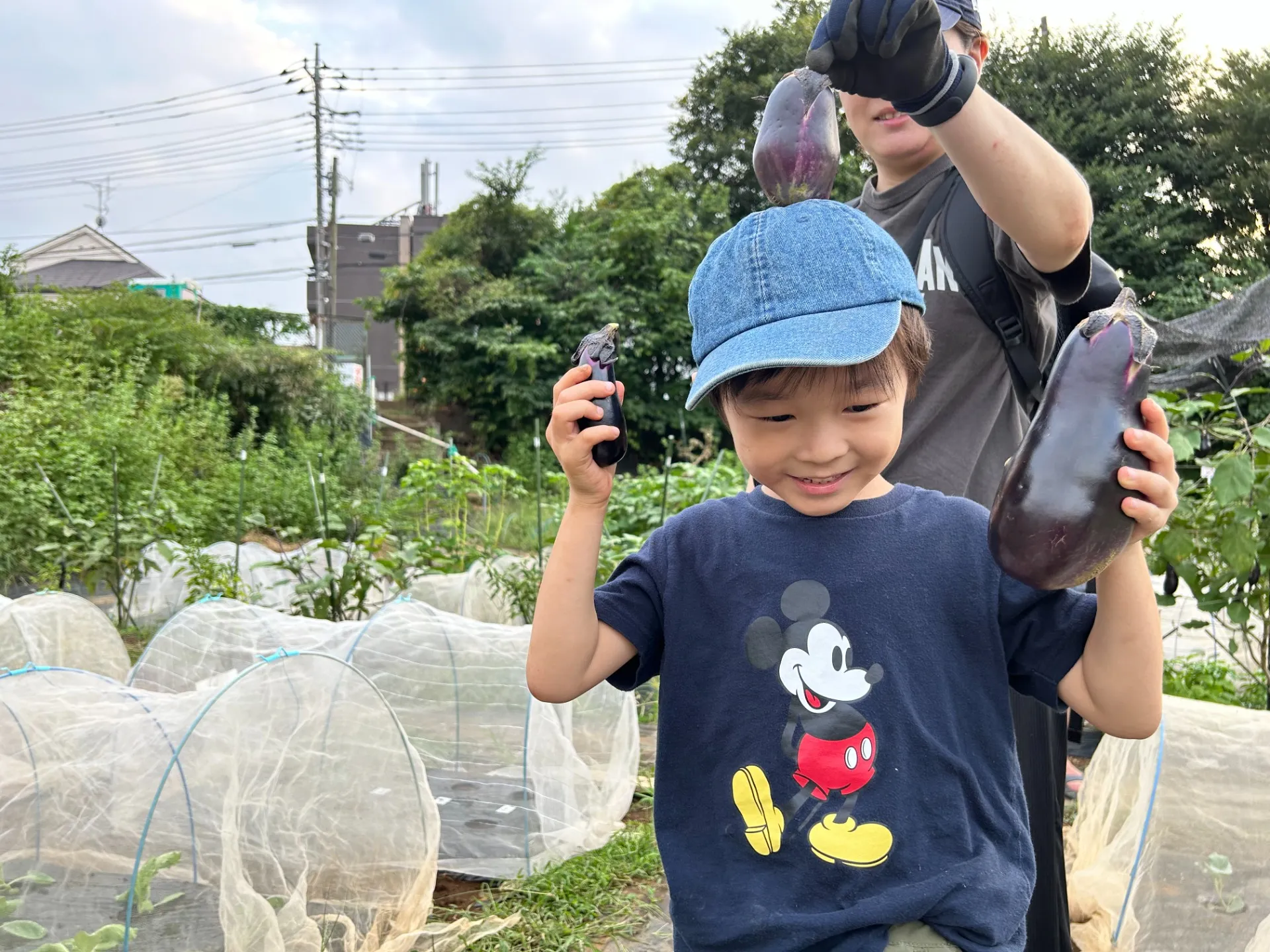 【農業体験イベントを行いました！】三鷹の運動教室