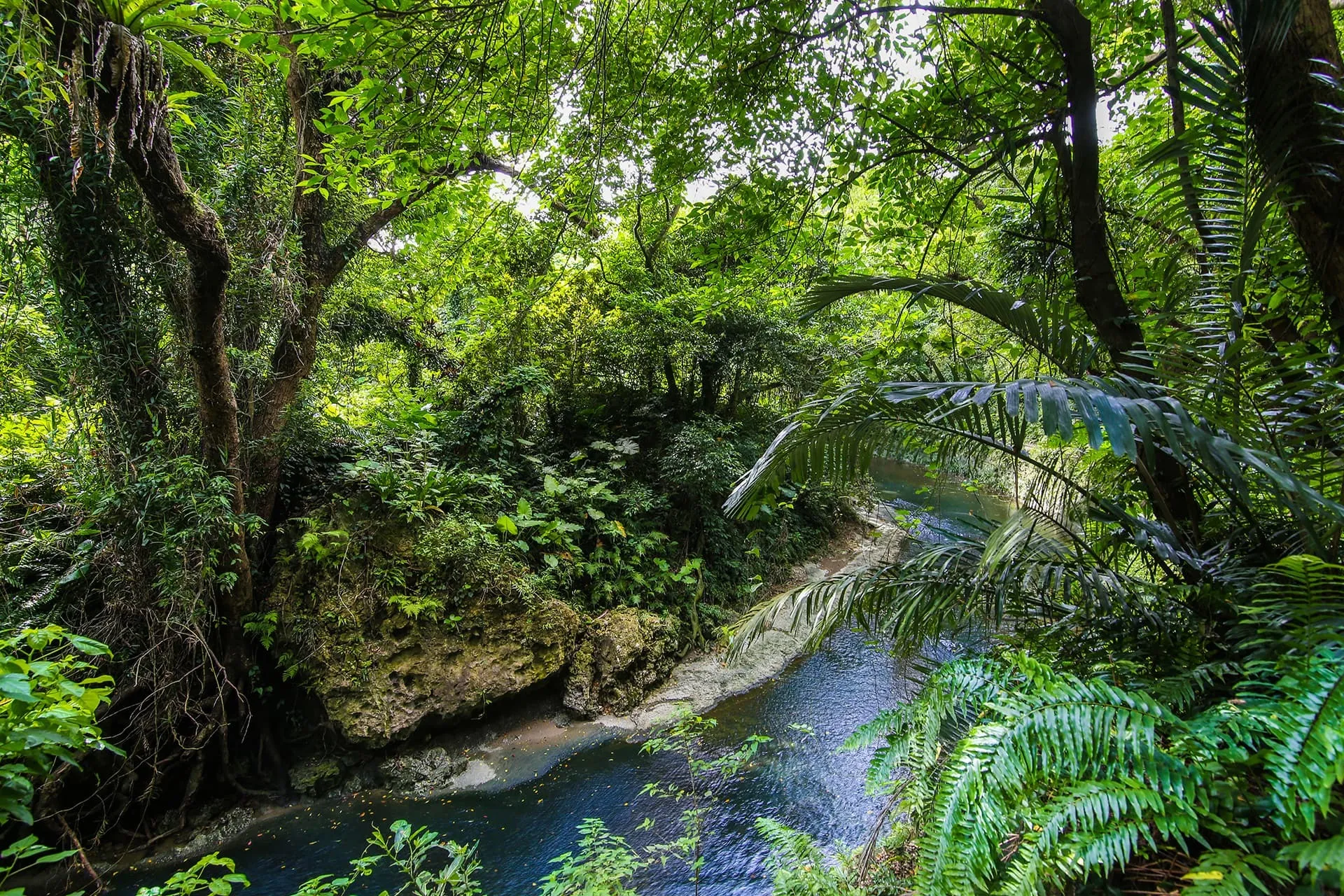 那覇校 秋のイベント「ガンガラーの谷 自然探検 & 垣花樋川ウォーターバトル」 
